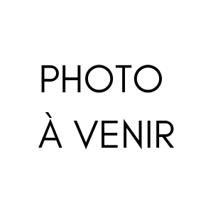 COURONNE PARIS-BREST-INDIVIDUEL